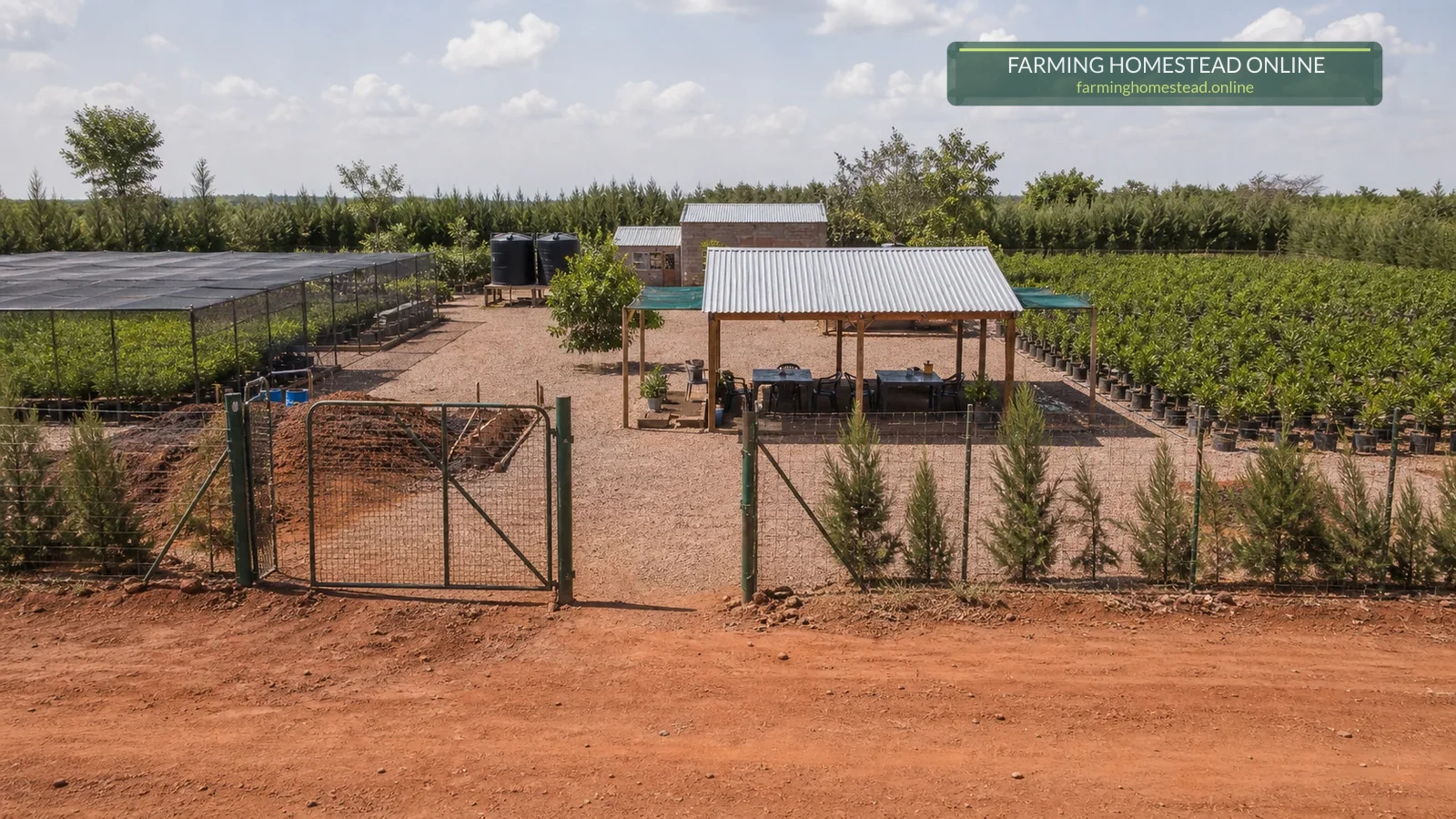 4-Hectare Grafted Citrus Nursery and Starter Orchard public planning visual 3
